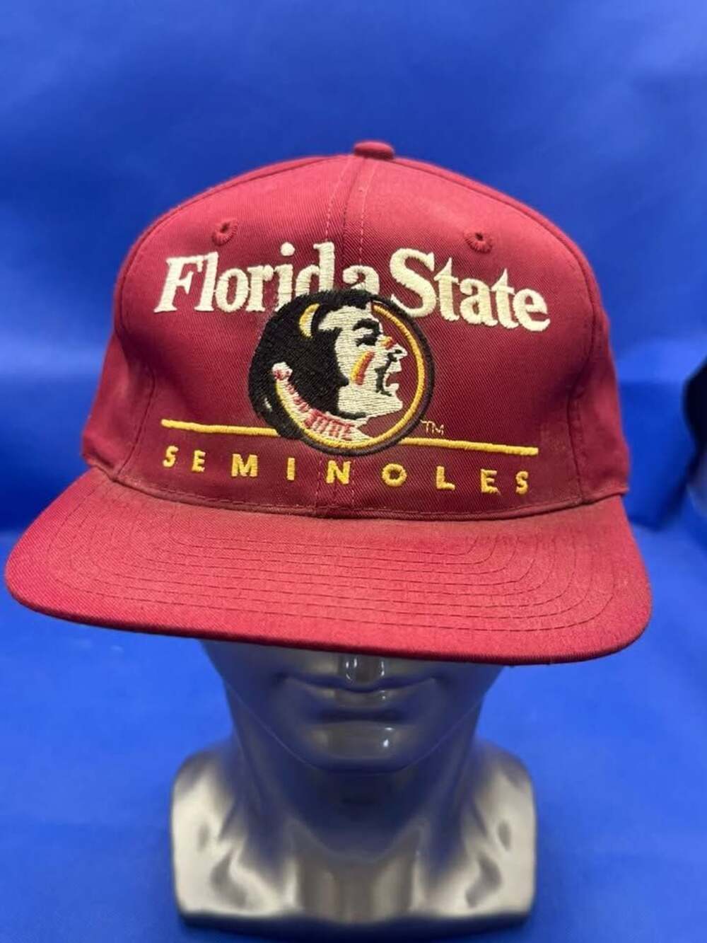 Vintage Florida State Seminoles Twins Enterprise Snapback Hat
